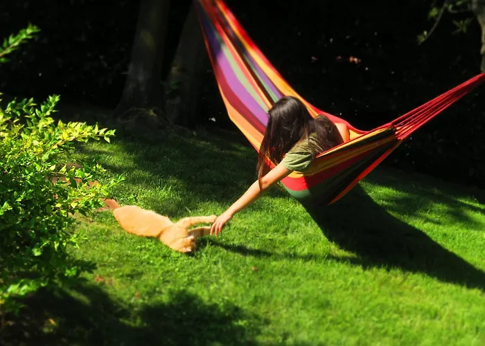 Appartement Dimora Altana *